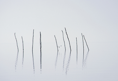 River Sticks, Sre Ambel River